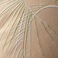 Parm tree / Linen Yellow